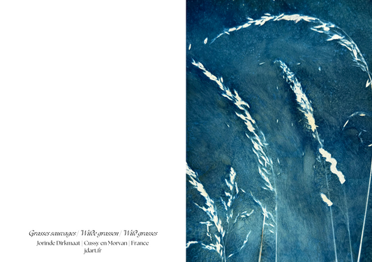 Waves of Grass - briefkaart