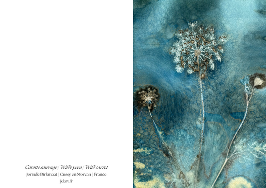 Wilde peen - briefkaart