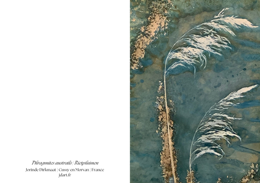 Rietpluimen - briefkaart