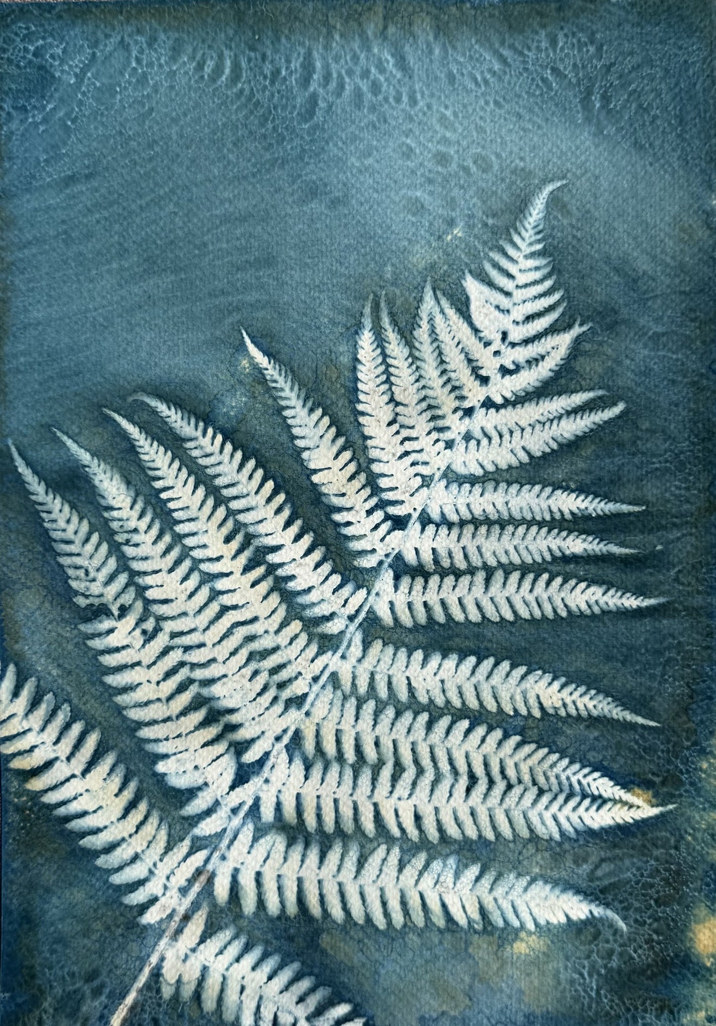 Magisch varenblad