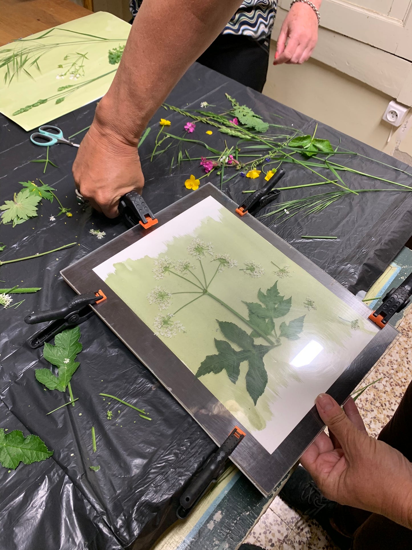 27 september - workshop botanisch blauwdrukken