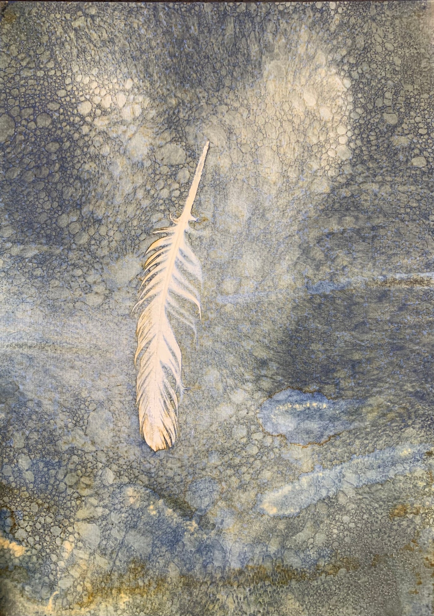 A feather's journey