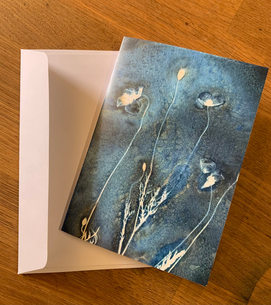 Onder de zon - set van 6 briefkaarten