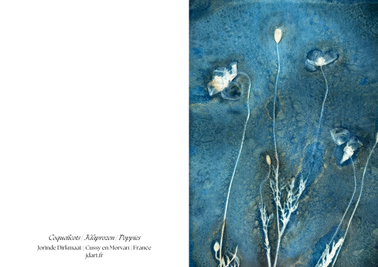 Klaprozen - briefkaart