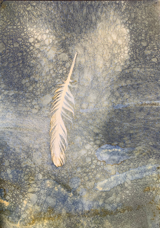 A feather's journey