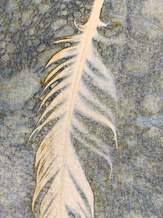 A feather's journey
