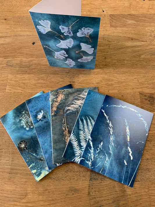 Onder de zon - set van 6 briefkaarten