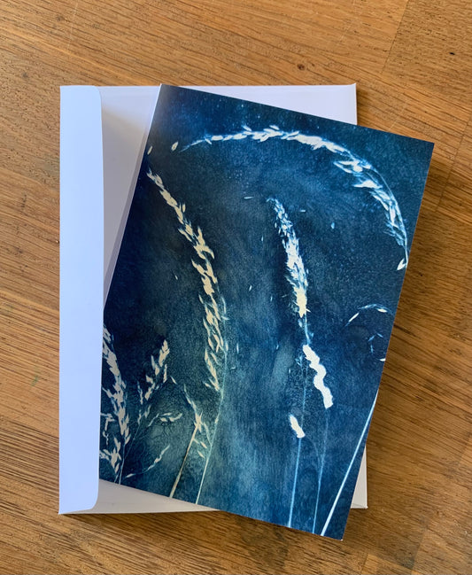 Waves of Grass - briefkaart