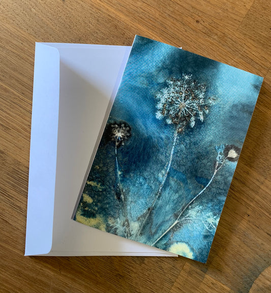 Wilde peen - briefkaart
