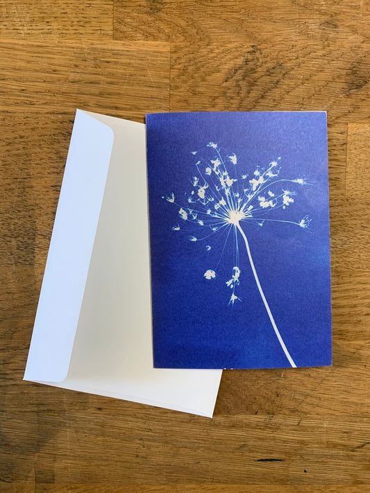 Vuurwerk van wilde peen - briefkaart